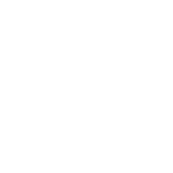 Play AVIATOR at Paradiseplay